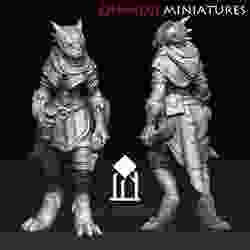 Dragonborn thief