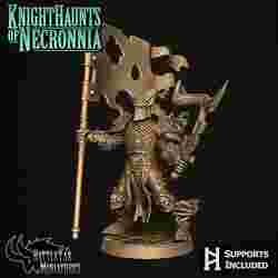 Phantasmal Footknight Banner-Bearer