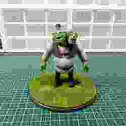 Dota2 Orge Magi x Shrek cross-over