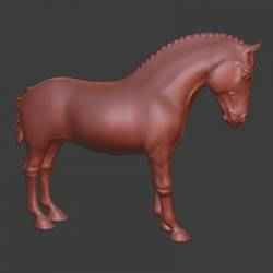 Andalusian, PRE (Pure Spanish horse) baroque horse