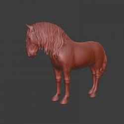 Lusitano, baroque and war horse